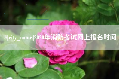 珠海2020年消防考试网上报名时间
