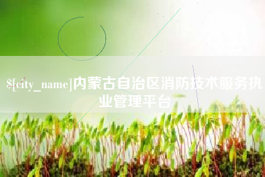 珠海内蒙古自治区消防技术服务执业管理平台