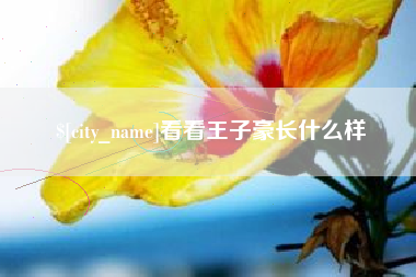 珠海看看王子豪长什么样