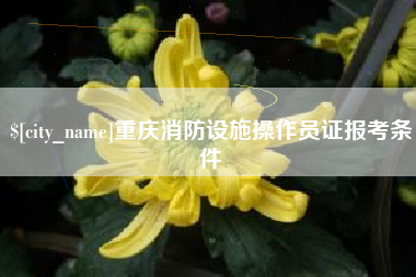 珠海重庆消防设施操作员证报考条件