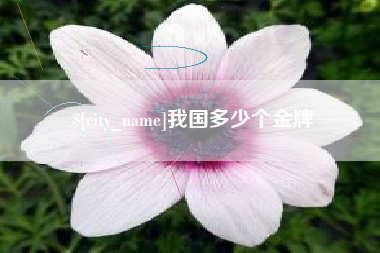 珠海我国多少个金牌