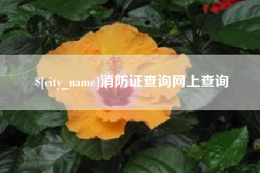珠海消防证查询网上查询