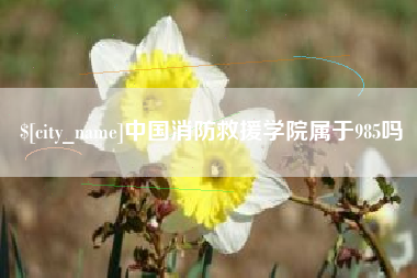 珠海中国消防救援学院属于985吗