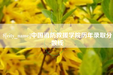 珠海中国消防救援学院历年录取分数线