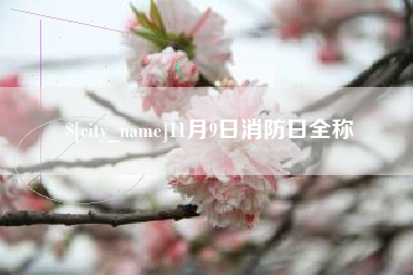 珠海11月9日消防日全称