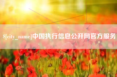 珠海中国执行信息公开网官方服务
