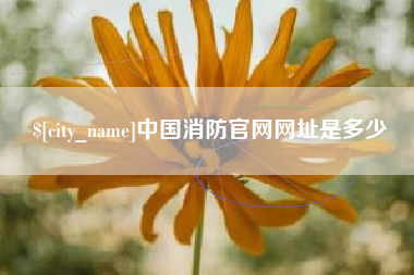 珠海中国消防官网网址是多少