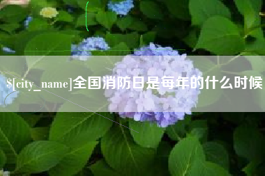 珠海全国消防日是每年的什么时候