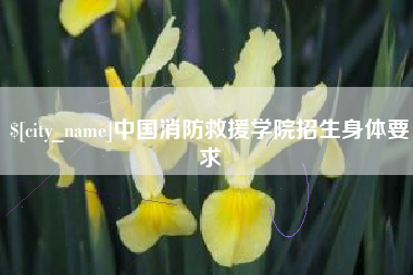 珠海中国消防救援学院招生身体要求