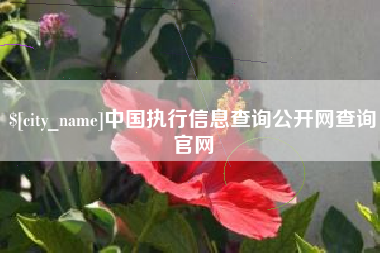 珠海中国执行信息查询公开网查询官网