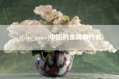 珠海中国的金牌有几名