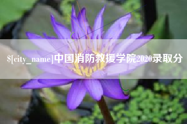 珠海中国消防救援学院2020录取分