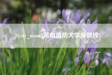 珠海河南消防大学分数线