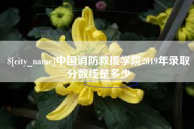 珠海中国消防救援学院2019年录取分数线是多少