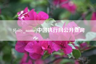珠海中国执行网公开查询
