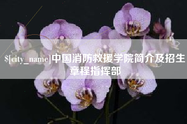 珠海中国消防救援学院简介及招生章程指挥部