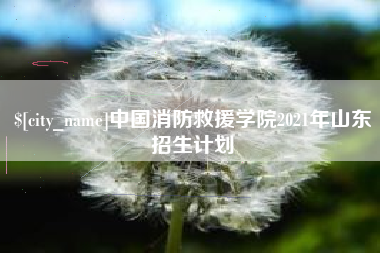 珠海中国消防救援学院2021年山东招生计划
