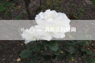 珠海消防证的查询