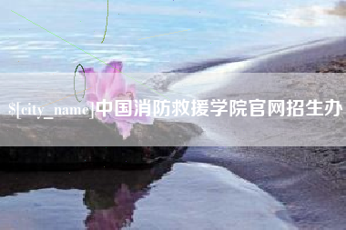 珠海中国消防救援学院官网招生办