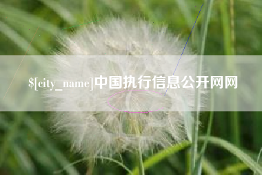 珠海中国执行信息公开网网