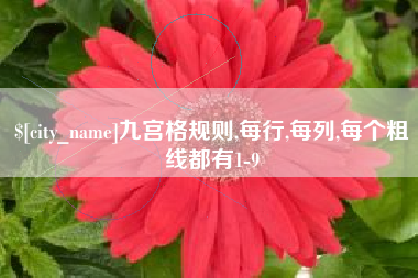 珠海九宫格规则,每行,每列,每个粗线都有1-9