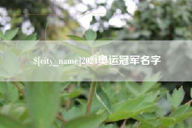 珠海2024奥运冠军名字