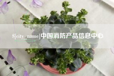 珠海中国消防产品信息中心