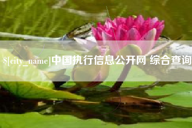 珠海中国执行信息公开网 综合查询