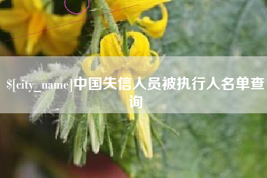珠海中国失信人员被执行人名单查询