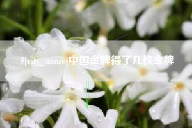 珠海中国金牌得了几枚金牌