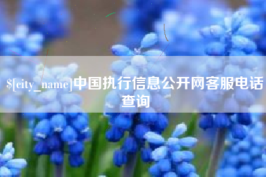 珠海中国执行信息公开网客服电话查询