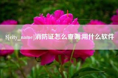 珠海消防证怎么查询,用什么软件