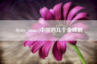 珠海中国的几个金牌啊