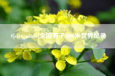 珠海全国男子5000米世界纪录