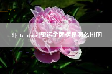 珠海奥运金牌榜是怎么排的