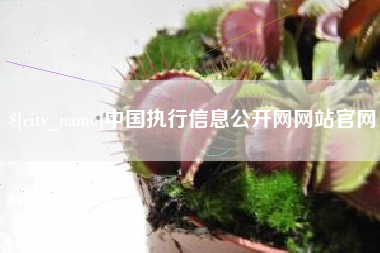 珠海中国执行信息公开网网站官网