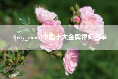 珠海中国十大金牌律师名单