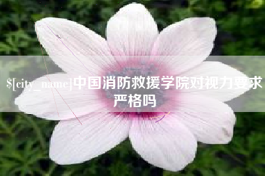 珠海中国消防救援学院对视力要求严格吗