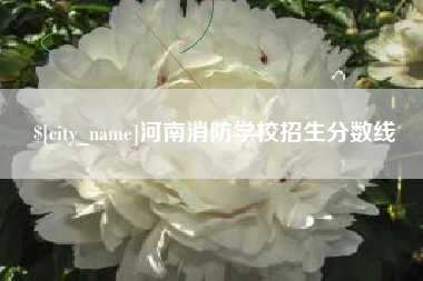 珠海河南消防学校招生分数线