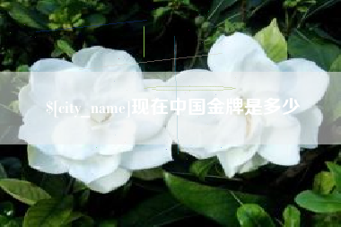 珠海现在中国金牌是多少