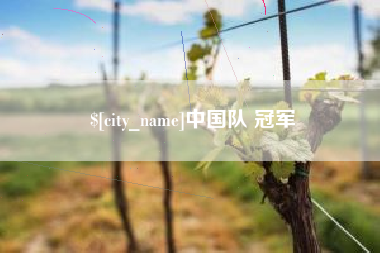 珠海中国队 冠军