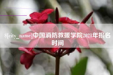 珠海中国消防救援学院2021年报名时间