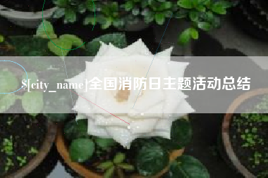 珠海全国消防日主题活动总结