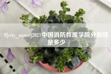 珠海2021中国消防救援学院分数线是多少