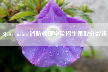 珠海消防救援学院招生录取分数线
