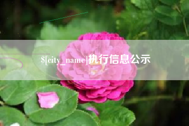珠海执行信息公示