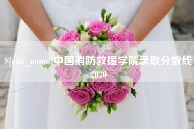 珠海中国消防救援学院录取分数线2020