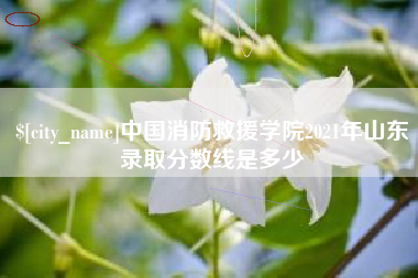 珠海中国消防救援学院2021年山东录取分数线是多少