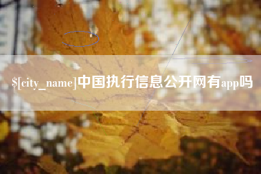 珠海中国执行信息公开网有app吗