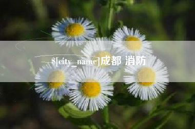珠海成都 消防